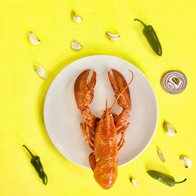 免费加速器节点 | 3月28日22.6M/S|免费SSR节点/Clash节点/Shadowrocket节点/Trojan节点/V2ray节点/Singbox节点节点推荐，在线Clash机场梯子购买推荐